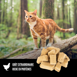 null - Product thumbnail 3.0